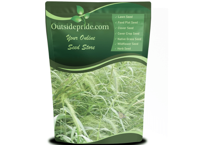 
Outsidepride Southeast Native Grass Seed Mix - 1 lb. Perennial Drought-Tolerant Blend of Warm & Cool Season Grass Seeds for Southern Lawns, Ideal for.