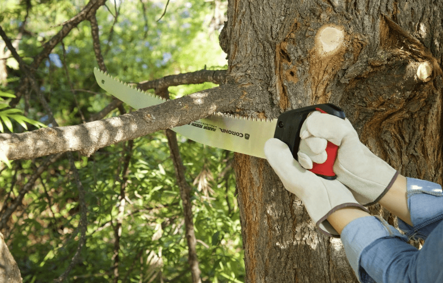 
Corona Tools 18-Inch RazorTOOTH Pruning Saw | Heavy-Duty Hand Saw with Curved Blade | D-Handle Design for Gloved or 2-Handed Operation | Cuts Branches Up to