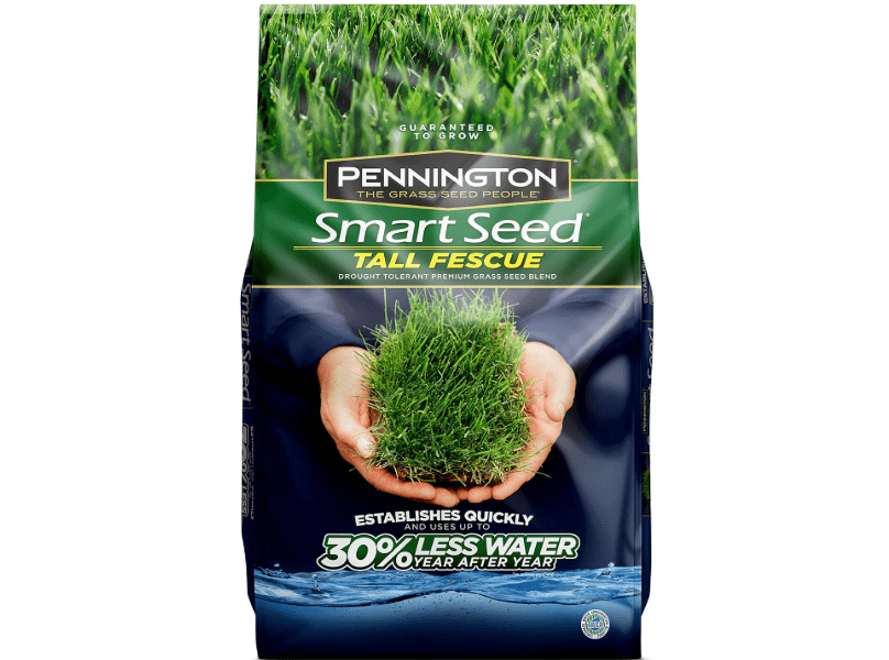 
Pennington Smart Seed Tall Fescue Grass Seed