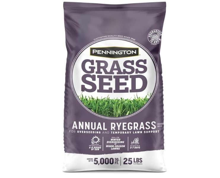 Pennington Annual Ryegrass Retail Bag to Overseed Warm Season Grasses, 25 lb
