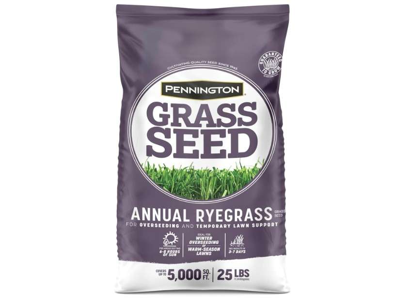 Pennington Annual Ryegrass Retail Bag to Overseed Warm Season Grasses, 25 lb
