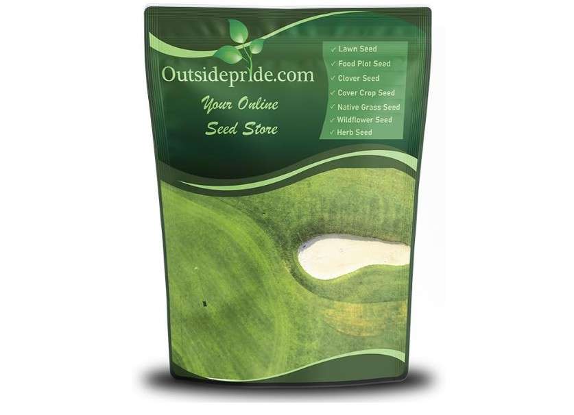 Outsidepride Oasis Bermuda Grass Seed - 5 lbs Warm Season, High Traffic, Heat Resistant, Drought-Tolerant, Low-Maintenance, Fast Growing Turf Grass for Lawn...
