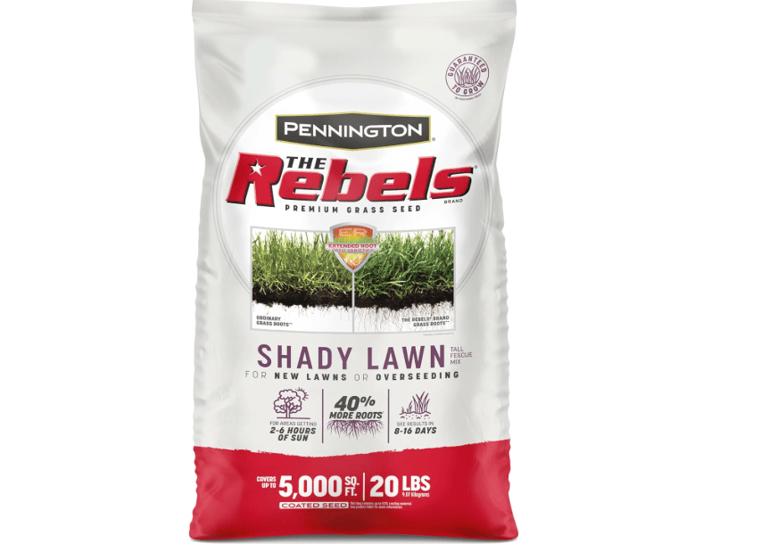  Pennington The Rebels Tall Fescue Grass Seed Mi