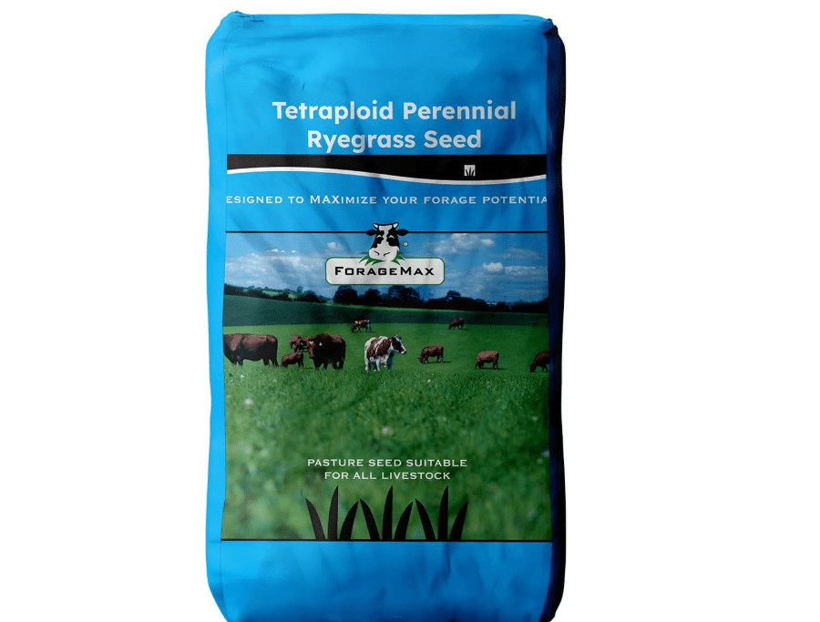 
Outsidepride Ryegrass Seeds - 50 lb. Perennial, Hardy & Fast-Growing, Cover Crop Seeds for Planting Glossy Dark Green Grass Leaves, Ideal for Hay.