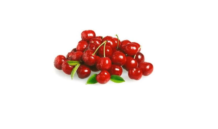 Dwarf North Star Cherry - 4-5 ft