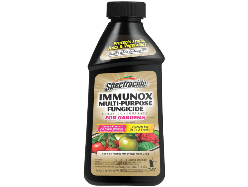 
Spectracide Immunox Multi-Purpose Fungicide Spray Concentrate For Gardens 16 Ounces, Protects Up To 2 Weeks