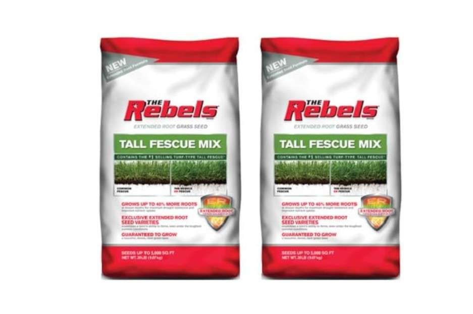 Pennington 100519431 20 lb The Rebels Tall Fescue Grass Seed Mix - Quantity 2 Bags
