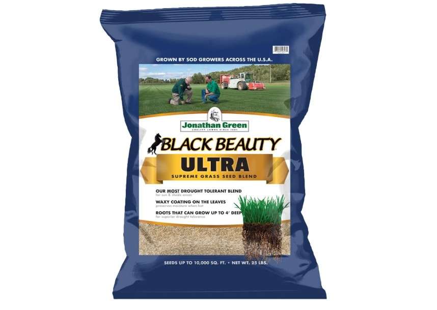 Jonathan Green (10323) Black Beauty Ultra Grass Seed - Cool Season Lawn Seed (25 lb)
