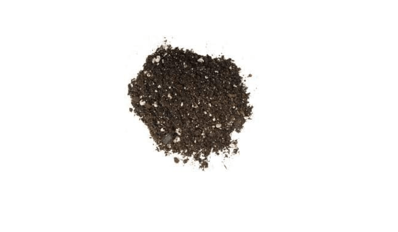 
Bonsai Tree Soil All Purpose Blend - 6 Quarts - CZ Grain Brand 100% Organic All Natural Great for Fast Growing Bonsai Trees