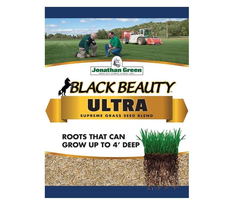 Jonathan Green 40322 Black Beauty Ultra Grass Seed, 7 lb 