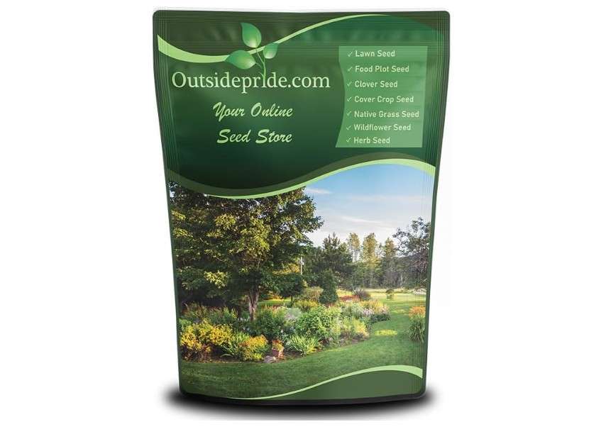 Outsidepride Combat Extreme Northern Zone - 5 Lbs Cold-Hardy, Drought-Resistant Turf Type Tall Fescue & Kentucky Bluegrass Lawn Grass Seed Blend,...
