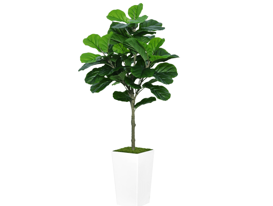 
ASTIDY Fiddle Leaf Fig Tree Artificial 5FT - Faux Fiddle Leaf Fig Tree with White Tall Planter - Fake Ficus Lyrata Floor Plant Potted - Artificial Fig Tree