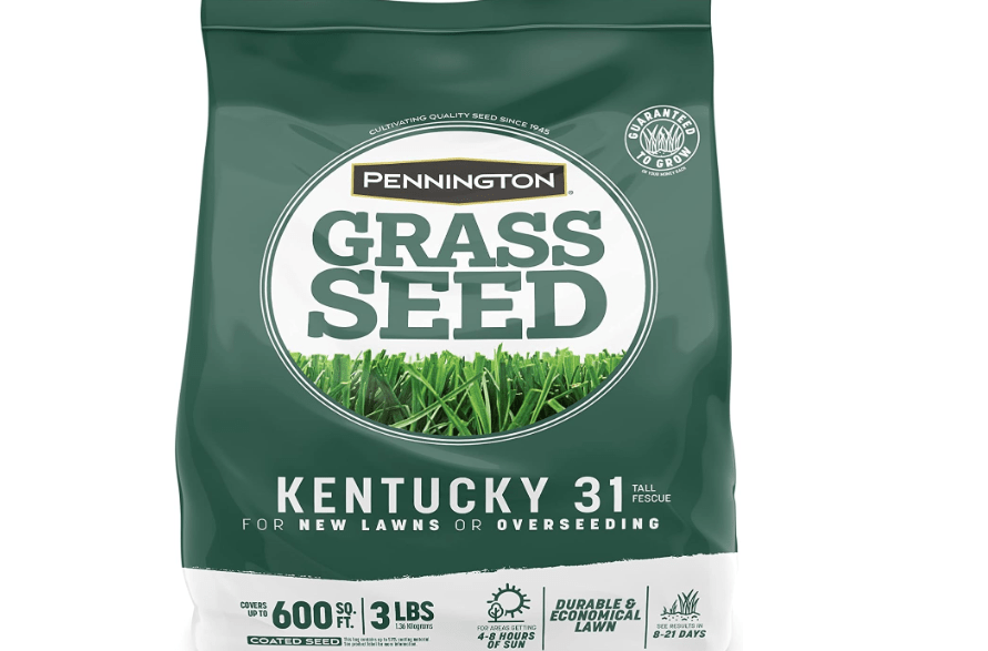  Pennington Kentucky 31 Tall Fescue Penkoted Grass Seed 3 lb