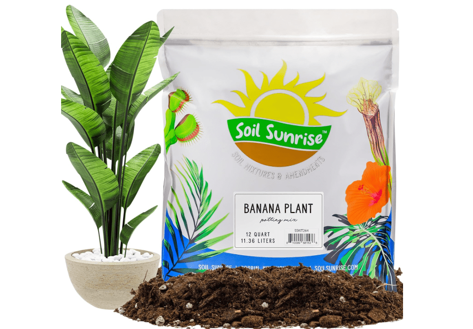 
Banana Tree Potting Soil Mix (12 Quarts) – Hand-Blended Indoor/Outdoor Mix for Healthy Banana Plants – Enhances Drainage & Root Support – Made in USA