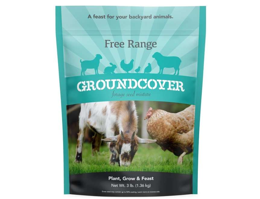 Barenbrug Free Range GroundCover Forage Seed Mixture - Ideal for Chickens, Game Birds, Goats, and Sheep - 3 lb Bag, Blue