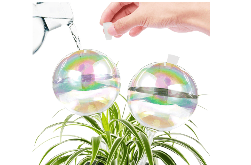  ZephyrBloom 13 oz Up 2 Weeks Large Plant Watering Globes & Bulbs, Self Watering Glass Globes to Water Plants While Away, Indoor Outdoor Automatic