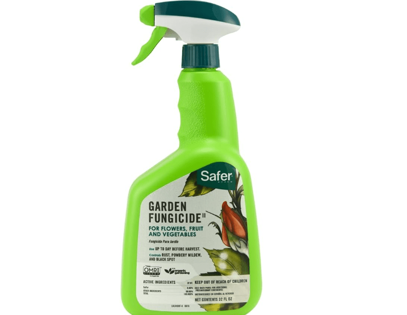 Safer Brand 5450-6 Garden Fungicide Ready to Use 32 Ounces
