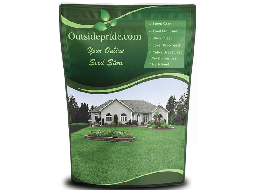 
Outsidepride Perennial Buffalo Grass Seed - 2 lbs Heat & Drought Tolerant, Low Maintenance, Warm Season Dense Turf Grass Seed for Lawn, Xeriscape