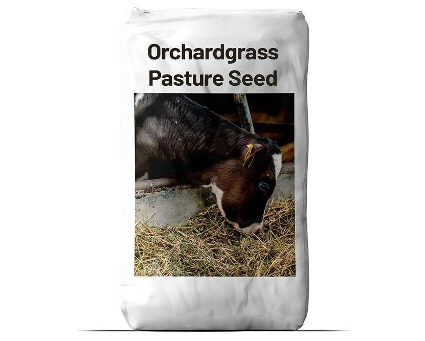 Outsidepride Grazer Orchard Pasture Grass Seed - 50 Lbs. Perennial, Drought & Shade Tolerant, Winter Hardy Fescue Seed for Hay, Grazing, Silage,