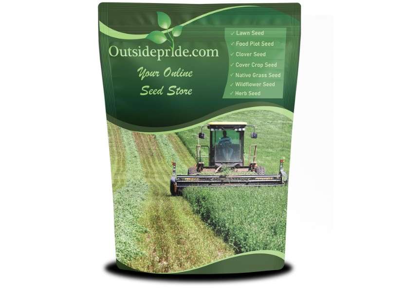 Outsidepride Perennial Alfalfa Seeds for Planting - 10 lbs High Yield, Nitrocoated, Inoculated Winter Hardy Forage Legume Seeds for Growing Lush Green Grass