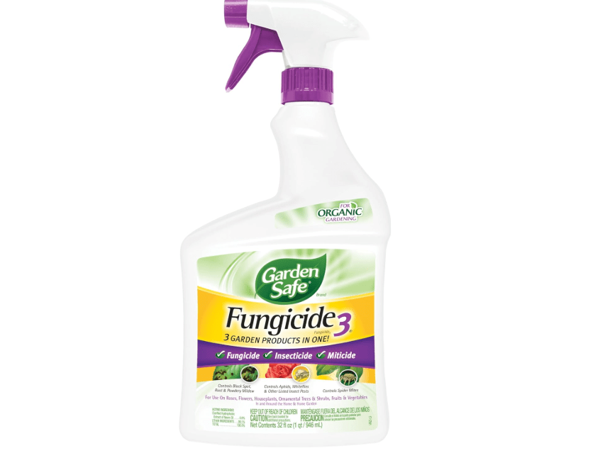 Garden Safe Brand Fungicide3, 32 Fluid Ounces, Insecticide and Miticide with Neem Oil Extract for Organic Gardening, Controls Black Spot, Aphids and Spide