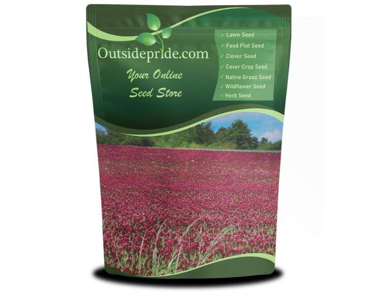 Outsidepride Crimson Clover Seeds - 5 lbs. Annual, Nitrocoated, & Inoculated Ground Cover Seeds, Ideal Clover Seed for Lawn, Cover Crop, Pasture, Hay,