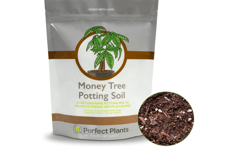 
Perfect Plants Money Tree Potting Soil 4qt | Organic Coco Coir Based Plant Mix for Indoor Trees | Quickly Grow Your Indoor Forest