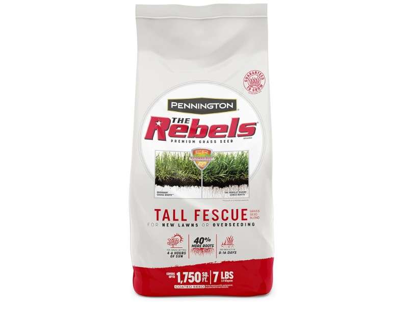 Pennington The Rebels Tall Fescue Grass Seed Mix 7 lb