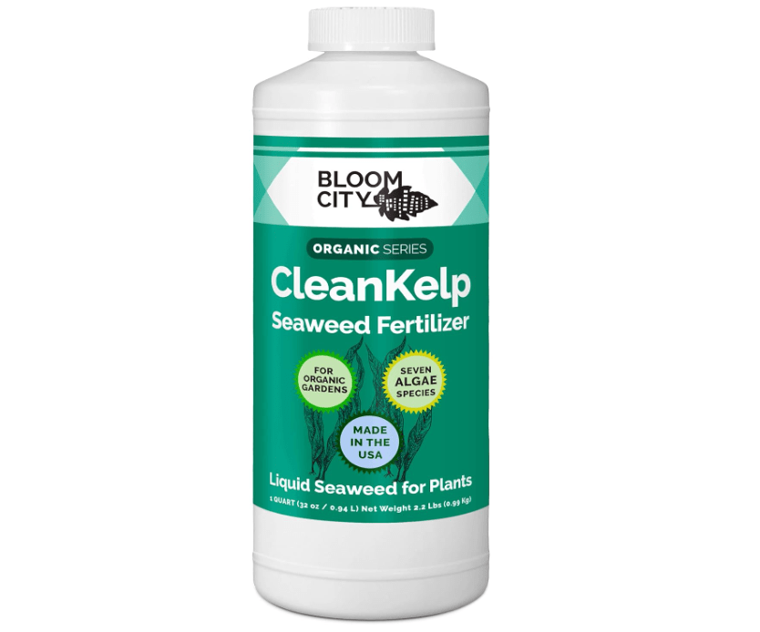 Bloom City Organic Liquid Seaweed and Kelp Fertilizer Supplement, Quart (32 oz) Concentrated Makes 180 Gallons