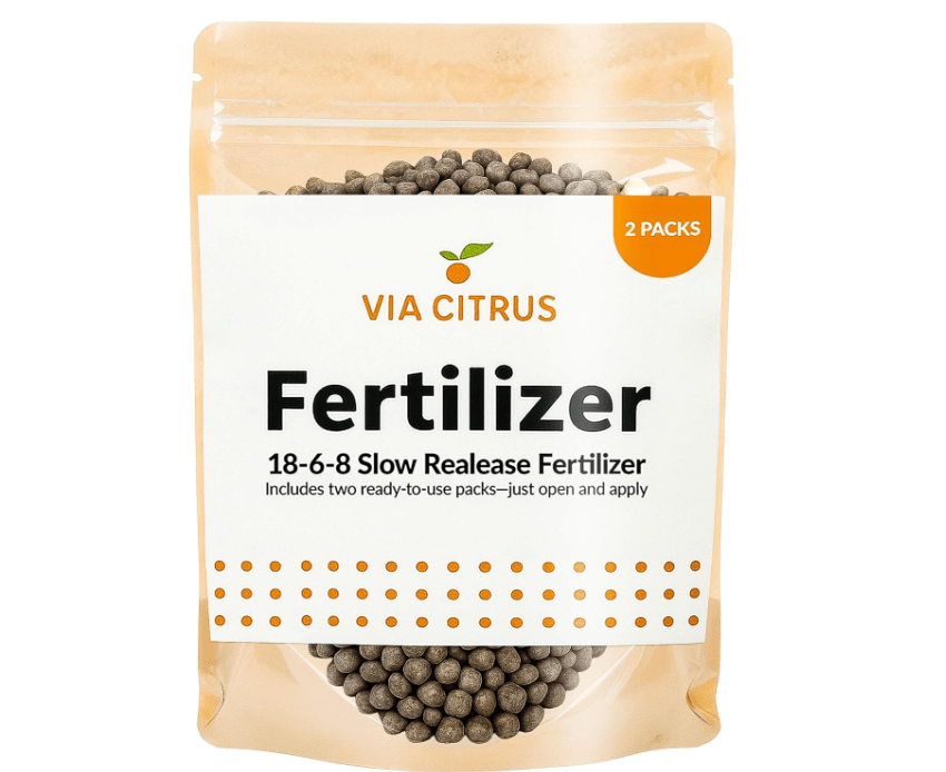 18-6-8 Slow Release Fertilizer for Indoor Plants - Citrus Plant Care, Granules Slow Release Fertilizer for Outdoor Plants, Flowers Plant, Houseplants