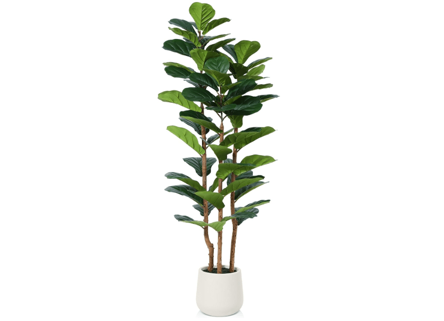 
OAKRED Artificial Fiddle Leaf Fig Tree with White Planter,5ft Tall Fake Tree with Natural Wood Trunk for Home Decor, Faux Ficus Tree Fake Moss for Indoor