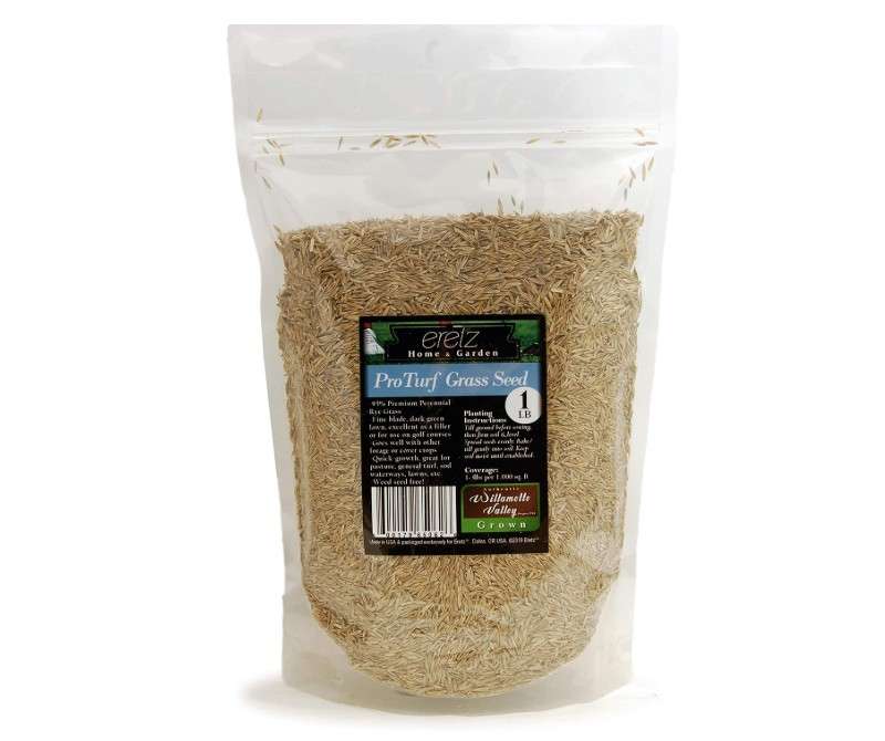 ProTurf Perennial Ryegrass Fine Lawn 