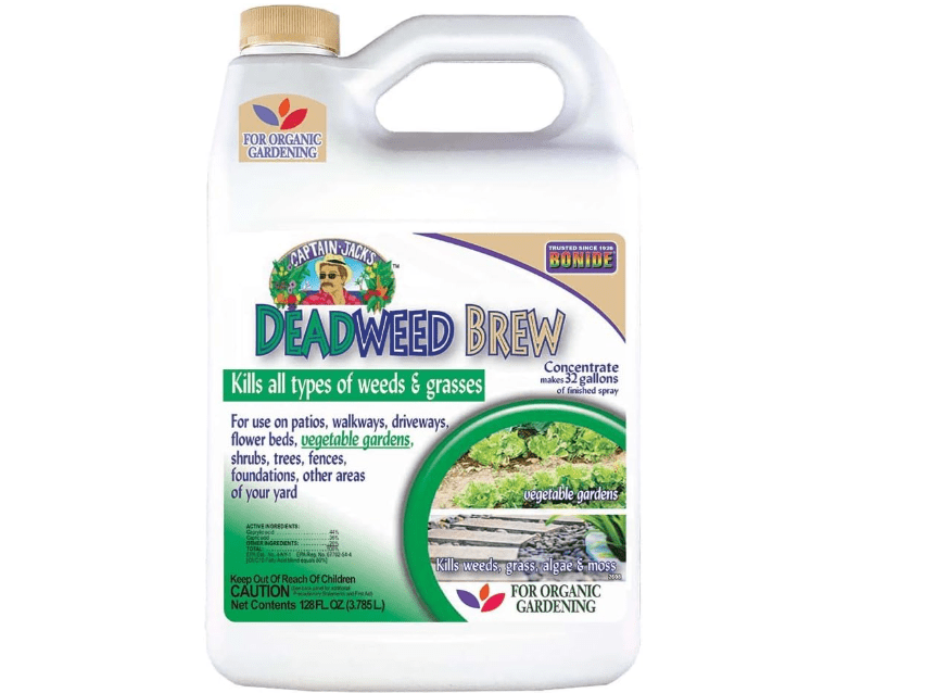 Bonide Captain Jack's Deadweed Brew, 128 oz Concentrate for All Types of Weeds and Grasses, for Organic Home Gardening