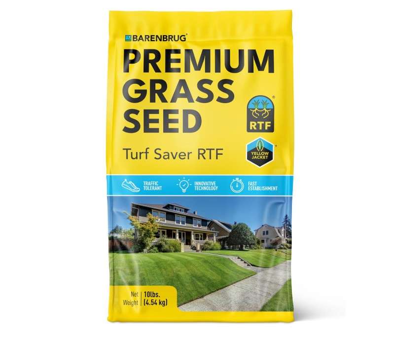 Barenbrug Turf Saver RTF Grass Seed with Yellow Jacket Seed Coating - Less Water Self-Repairing Tall Fescue Turf for Use on Sports Field, Golf Courses, Parks, Lawns, and Yard (10 LB Bag)
