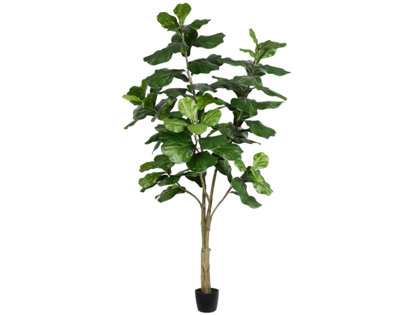 Vickerman Everyday Faux Fiddle Leaf Fig Tree 7ft Tall Green Silk Artificial Indoor Fiddle Plant with 89 Large Fiddle Leaves Single Stem Home Office Decor