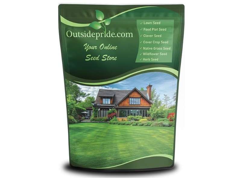 Outsidepride Midnight Kentucky Bluegrass Seed - 10 Lbs. Cold & Drought Tolerant, Sun-Loving Lawn Grass Seed, w/High Traffic Tolerance & Deep Roo