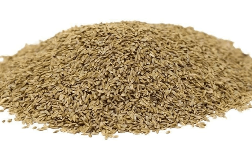 
Hancock Seed Co. Common Bermuda Grass Seed - Coated & Unhulled, 50 lbs.