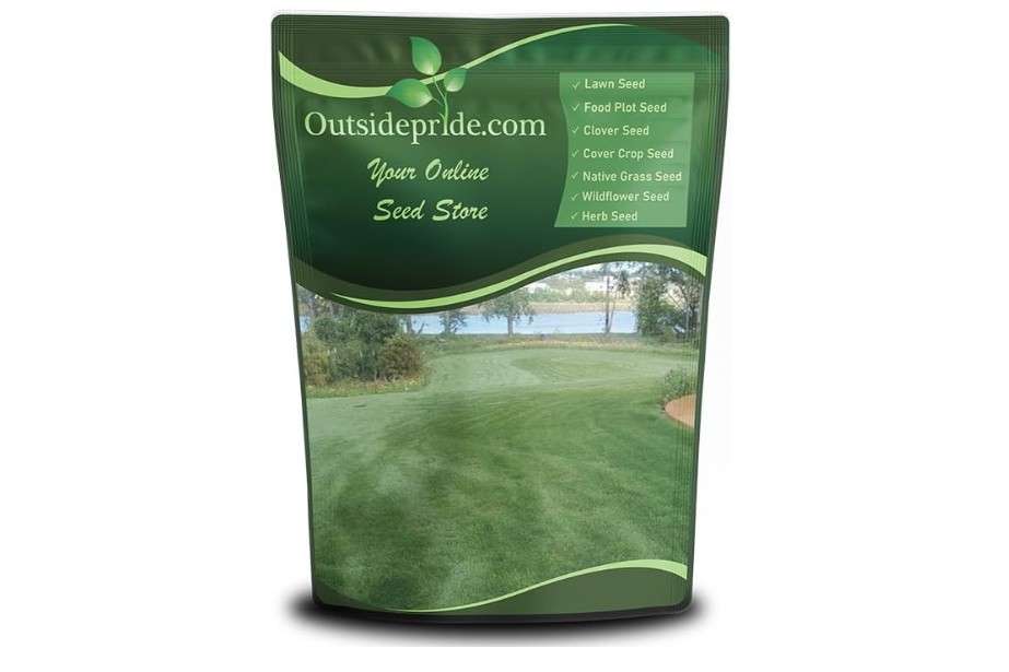 Outsidepride Combat Extreme Transition Zone Grass Seed Blend for Lawn 10 lbs - Fine, Medium Leaf Blades & Dense Turf for Sun, Shady & High Traffic...