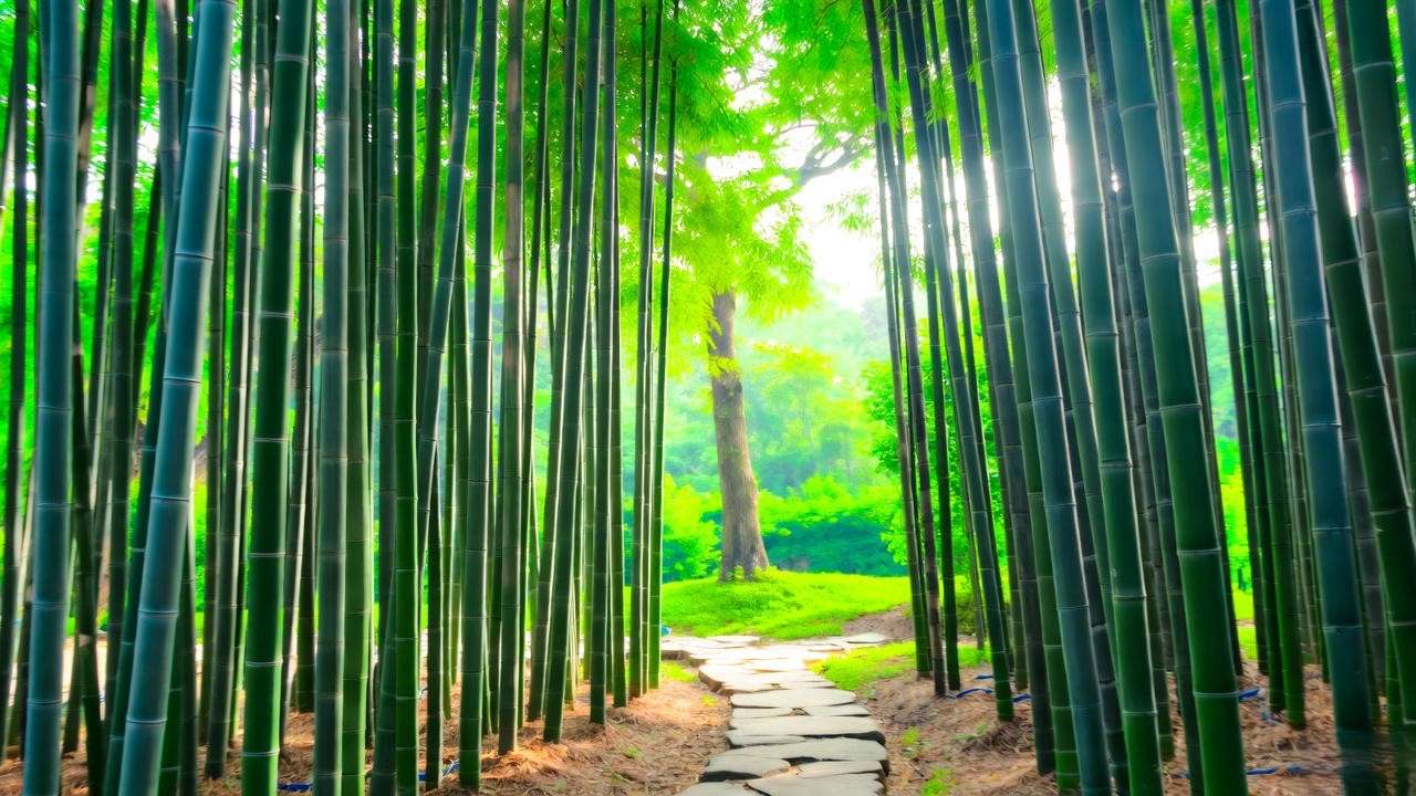Lush bamboo grove with tall green stalks and stone path in a serene garden