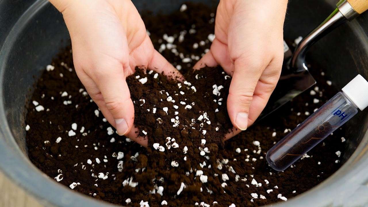 Gardener mixing loamy soil with compost and perlite for bird's eye pepper planting, with a pH testing kit nearby, showcasing optimal soil preparation.
