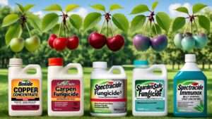 best fungicide for cherry trees
