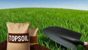 best topsoil for bermuda grass