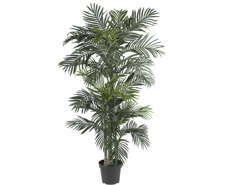 Nearly Natural 6.5ft (78″) Golden Cane Artificial Palm Tree – Lifelike Indoor Silk Palm with 3 Textured Trunks, 333 Flexible Fronds, Nursery Planter,