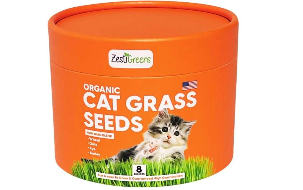 ZESTIGREENS Organic Cat Grass Seeds - Non-GMO Blend of Wheat, Oats, Rye & Barley for Indoor Cats | Seeds Come in Food Grade Container with Lid for...
