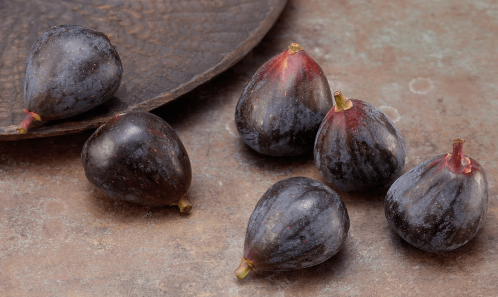 Petite Negri Edible Fig Plant -Ficus carica-Little Black Fig - 2.5" Pot