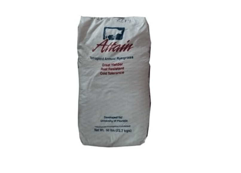 Attain Tetraploid Pasture Ryegrass Seed
