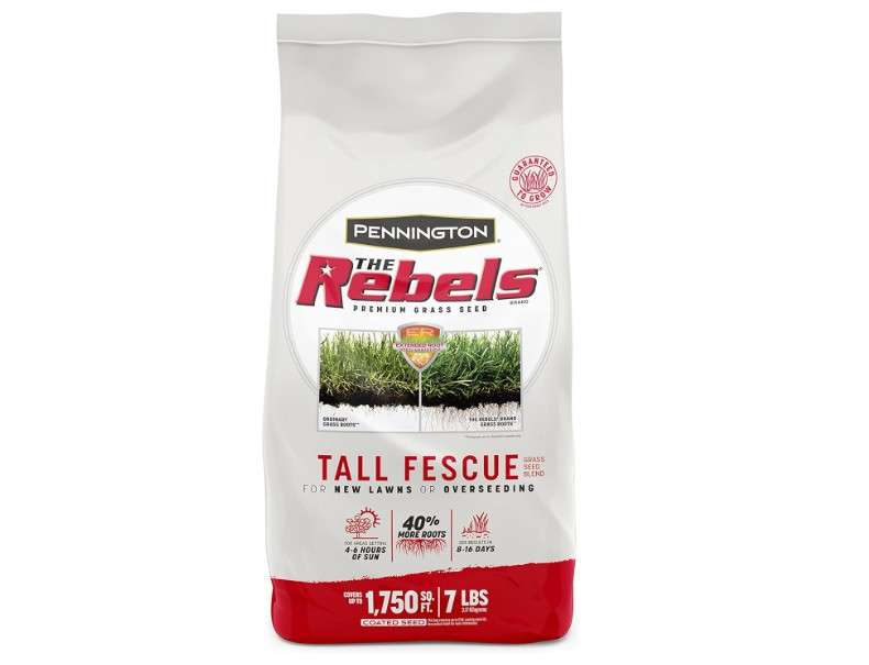 Pennington The Rebels Tall Fescue Grass Seed Mix 7 lb