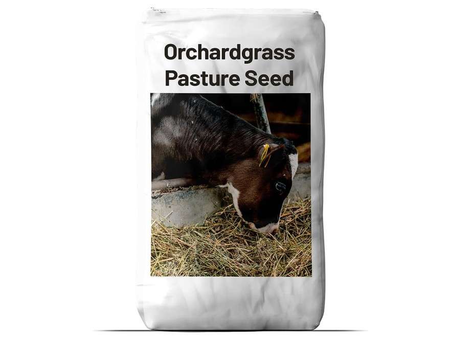 Outsidepride Grazer Orchard Pasture Grass Seed - 50 Lbs. Perennial, Drought & Shade Tolerant, Winter Hardy Fescue Seed for Hay, Grazing, Silage,...