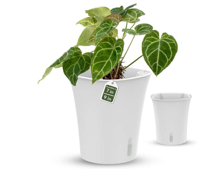 karenplantsplants™ 7" Tall Diameter Self Watering Pot (5-Pack) Decorative Planter with Water Level Indicator for House Plants, Flowers, Herbs