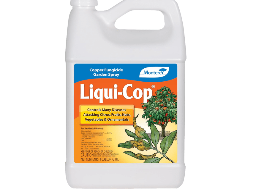 Monterey Liqui-Cop - Copper Fungicide Garden Spray for Citrus and Fruit & Nut Trees - 1 Gallon